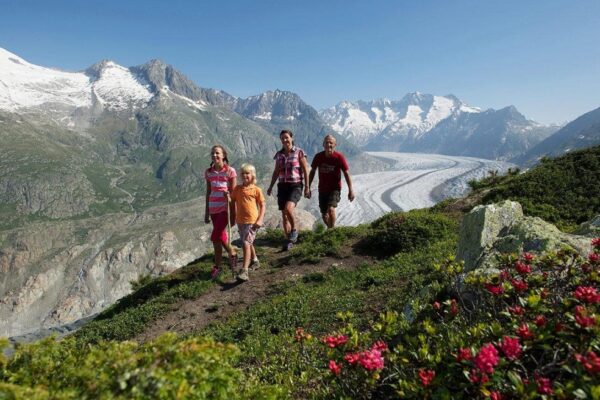 Aletsch-Region-350 Aletsch-Region-350